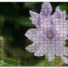 Cakapuzzle Sümbül Yakın Plan Mdf 120 Parça Puzzle