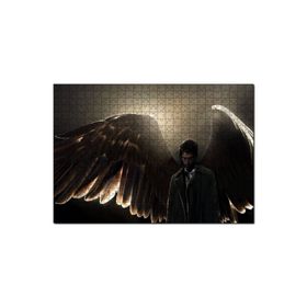 Cakapuzzle Supernatural Melek Kanatları 255 Parça Puzzle