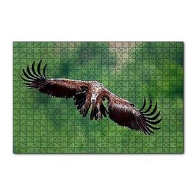 Cakapuzzle Süzülen Dev Akbaba 120 Parça Ahşap Puzzle