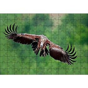 Cakapuzzle Süzülen Dev Akbaba 120 Parça Ahşap Puzzle