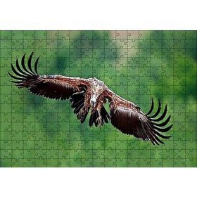 Cakapuzzle Süzülen Dev Akbaba 120 Parça Ahşap Puzzle
