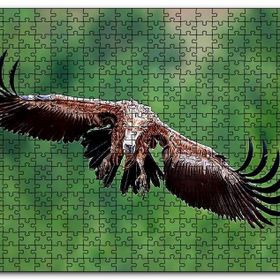 Cakapuzzle Süzülen Dev Akbaba Mdf 120 Parça Puzzle