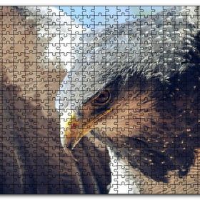 Cakapuzzle Süzülen Kartal Yakın Plan Mdf 120 Parça Puzzle
