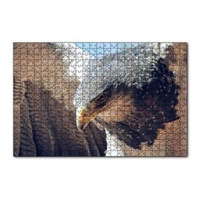 Cakapuzzle Süzülen Kartal Yakın Plan Puzzle
