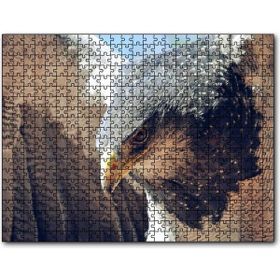 Cakapuzzle Süzülen Kartal Yakın Plan Puzzle