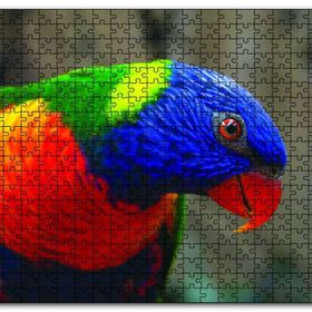 Cakapuzzle Swainson Papağanı Yakın Çekim Mdf 1000 Parça Puzzle