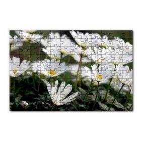 Cakapuzzle Taçlı Beyaz Dağ Laleleri Yakın Çekim 120 Parça Ahşap Puzzle