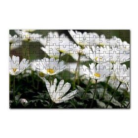 Cakapuzzle Taçlı Beyaz Dağ Laleleri Yakın Çekim 120 Parça Ahşap Puzzle