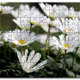 Cakapuzzle Taçlı Beyaz Dağ Laleleri Yakın Çekim Mdf 120 Parça Puzzle