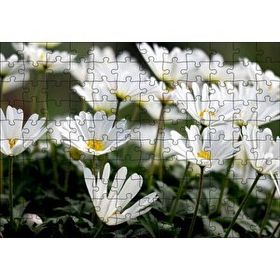 Cakapuzzle Taçlı Beyaz Dağ Laleleri Yakın Çekim Mdf 120 Parça Puzzle