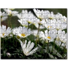 Cakapuzzle Taçlı Beyaz Dağ Laleleri Yakın Çekim Mdf 500 Parça Puzzle