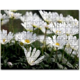 Cakapuzzle Taçlı Beyaz Dağ Laleleri Yakın Çekim Mdf 500 Parça Puzzle