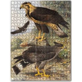 Cakapuzzle Taçlı Sağadet Kartallar Ahşap 1000 Parça Puzzle