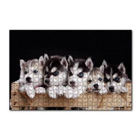 Cakapuzzle Tahta Kasa İçinde Beş Husky Yavrusu 120 Parça Ahşap Puzzle