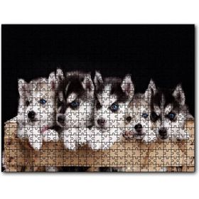 Cakapuzzle Tahta Kasa İçinde Beş Husky Yavrusu Mdf 1000 Parça Puzzle