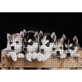 Cakapuzzle Tahta Kasa İçinde Beş Husky Yavrusu Mdf 1000 Parça Puzzle