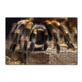 Cakapuzzle Tarantula Dijital Çizim 120 Parça Ahşap Puzzle