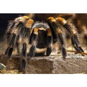 Cakapuzzle Tarantula Dijital Çizim 120 Parça Ahşap Puzzle