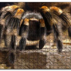 Cakapuzzle Tarantula Dijital Çizim Mdf 1000 Parça Puzzle