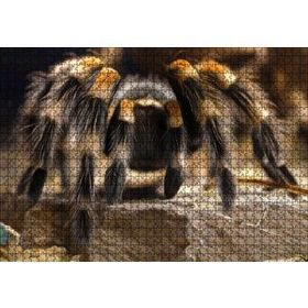 Cakapuzzle Tarantula Dijital Çizim Mdf 1000 Parça Puzzle