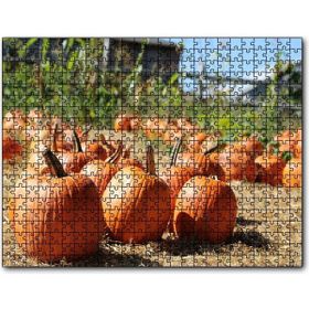 Cakapuzzle Tarlada Toplanmayı Bekleyen Kabaklar 255 Parça Puzzle