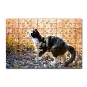 Cakapuzzle Taşların Üzerinde 3 Renk Kedi ve Sarı Otlar 120 Parça Ahşap Puzzle