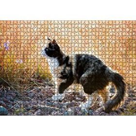 Cakapuzzle Taşların Üzerinde 3 Renk Kedi ve Sarı Otlar 120 Parça Ahşap Puzzle