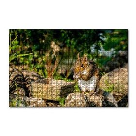 Cakapuzzle Taşların Üzerindeki Sevimli Küçük Sincap 120 Parça Ahşap Puzzle
