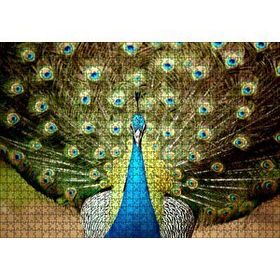 Cakapuzzle Tavus Kuşu Mavili Yeşilli 1000 Parça Puzzle