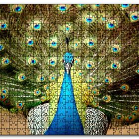 Cakapuzzle Tavus Kuşu Mavili Yeşilli Mdf 120 Parça Puzzle