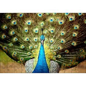 Cakapuzzle Tavus Kuşu Mavili Yeşilli Mdf 120 Parça Puzzle