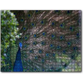 Cakapuzzle Tavuskuşu ve Harikulade Tüyleri Mdf 1000 Parça Puzzle
