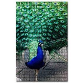 Cakapuzzle Tavuskuşu ve Muhteşem Tüyleri 120 Parça Puzzle
