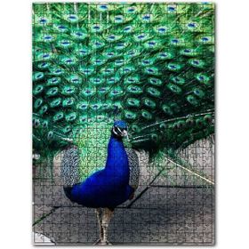 Cakapuzzle Tavuskuşu ve Muhteşem Tüyleri 120 Parça Puzzle