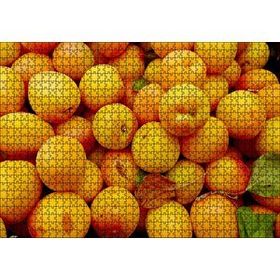 Cakapuzzle Taze Kayısılar Yanaşık Düzen 120 Parça Ahşap Puzzle