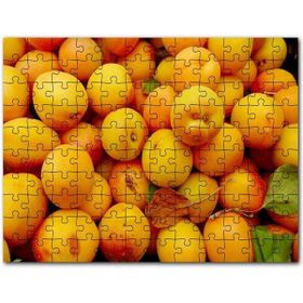 Cakapuzzle Taze Kayısılar Yanaşık Düzen Mdf 500 Parça Puzzle