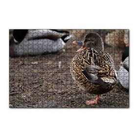 Cakapuzzle Tek Ayak Üzerinde Duran Ördek Yavrusu 120 Parça Ahşap Puzzle