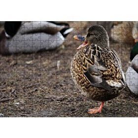Cakapuzzle Tek Ayak Üzerinde Duran Ördek Yavrusu 120 Parça Ahşap Puzzle
