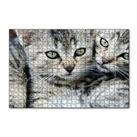 Cakapuzzle Tekir Yavru Kediler 120 Parça Ahşap Puzzle