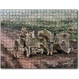 Cakapuzzle Toprak Yolun Ortasında Aslan Ailesi Mdf 1000 Parça Puzzle