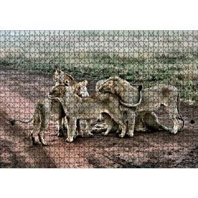 Cakapuzzle Toprak Yolun Ortasında Aslan Ailesi Mdf 1000 Parça Puzzle
