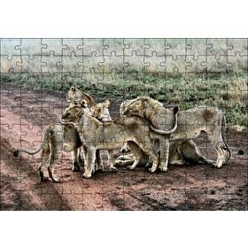 Cakapuzzle Toprak Yolun Ortasında Aslan Ailesi Mdf 120 Parça Puzzle