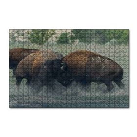 Cakapuzzle Toslaşan Bizonlar 120 Parça Ahşap Puzzle