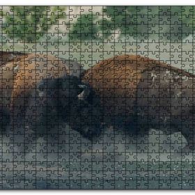 Cakapuzzle Toslaşan Bizonlar Mdf 120 Parça Puzzle