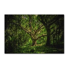 Cakapuzzle Tropik Orman 120 Parça Ahşap Puzzle