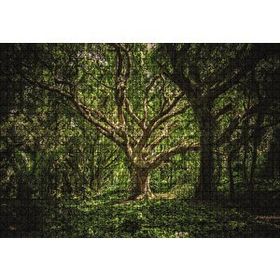 Cakapuzzle Tropik Orman 120 Parça Ahşap Puzzle
