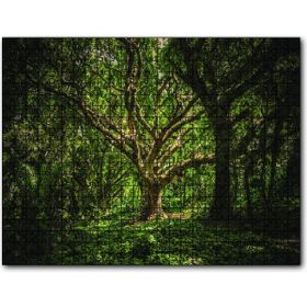 Cakapuzzle Tropik Orman 255 Parça Puzzle