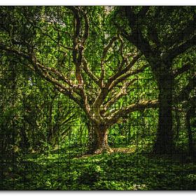 Cakapuzzle Tropik Orman Mdf 120 Parça Puzzle