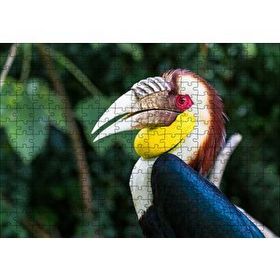 Cakapuzzle Tropikal Boynuzgagalı 255 Parça Puzzle