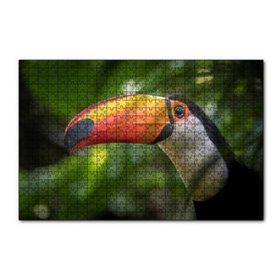 Cakapuzzle Tropikal Kuş Tucan Yakın Plan 120 Parça Ahşap Puzzle